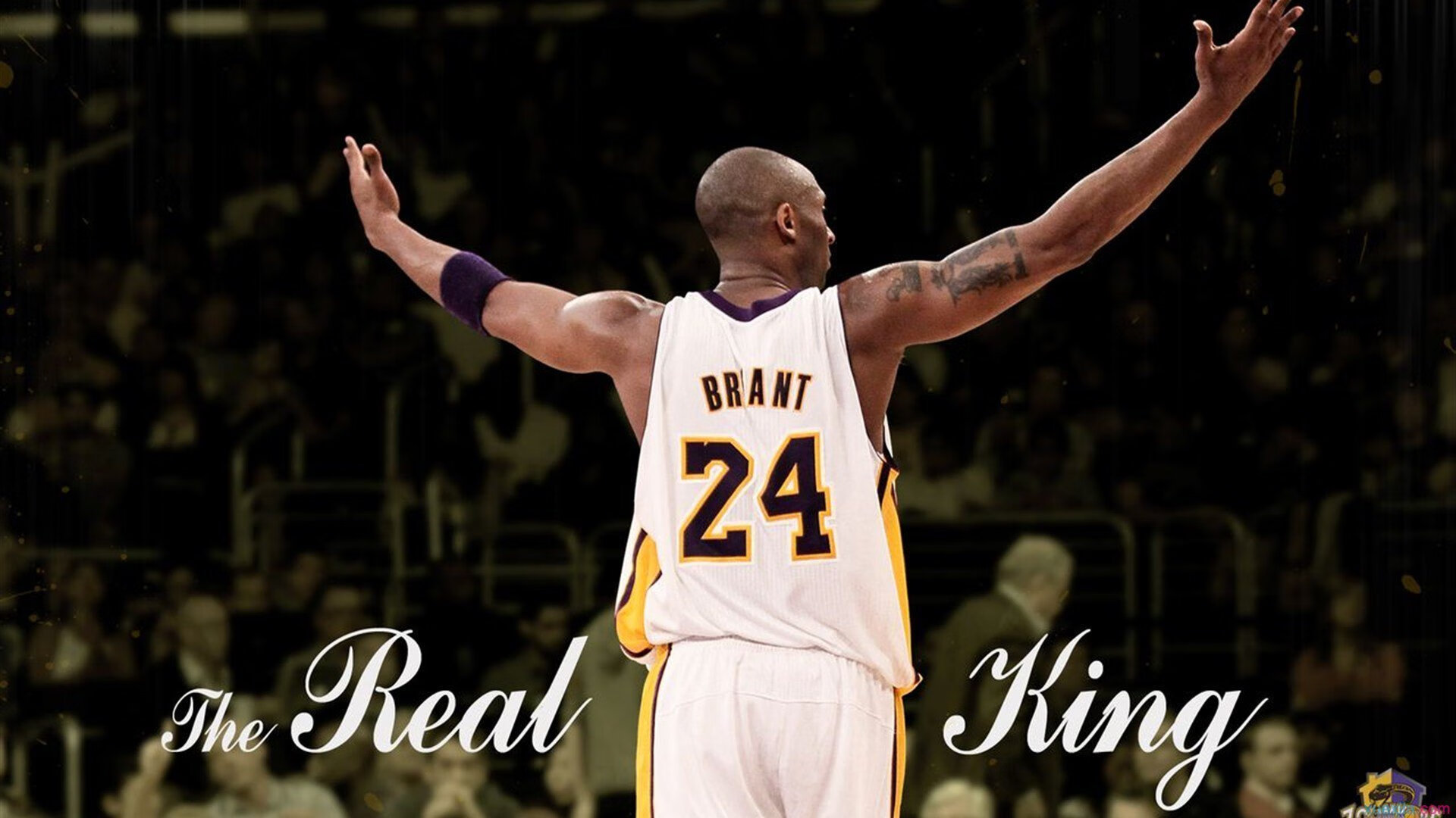 NBA全明星赛星光熠熠 新生代球员闪耀赛场-pg模拟器试玩入口